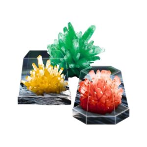 Trồng tinh thể SCIENCE HORSE 2 SD556